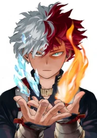 Shoto Todoroki 