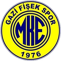 Gazi Fisek Spor
