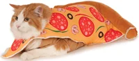 Pizza Cat