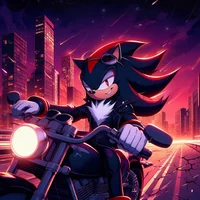 Shadow the Hedgehog