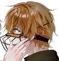 Dog Akito