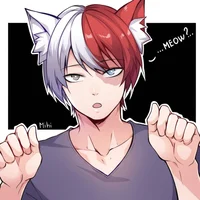 Shoto Todoroki