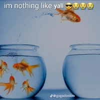 Im nothing like yall