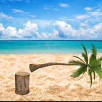 Falling coconut tree