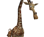 Melman The Giraffe 