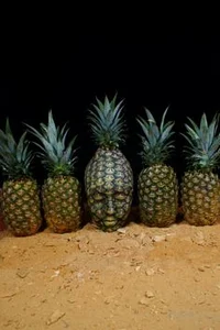 Pineapple face