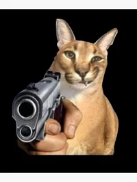 cat w a gun
