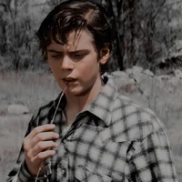 Ponyboy Curtis 