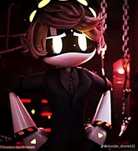 Serial Designation N