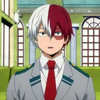 Todoroki shoto 
