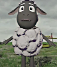 Wooly the Sheep