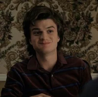 Steve Harrington 