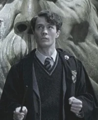 Tom Riddle 2