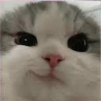 Mimi