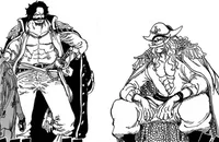 Barba branca e roger