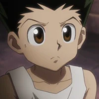 Gon Freecss