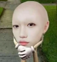 Lee Felixx