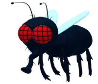 Fly