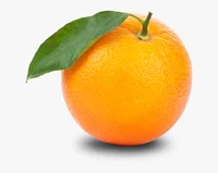 Yahiamice Orange