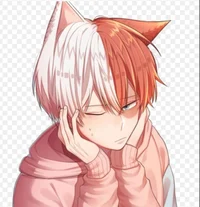 cat boy todoroki