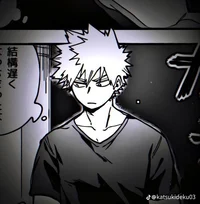 Bf katsuki bakugou 