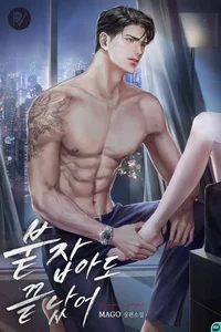 boxer bf