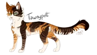 Tawnypelt