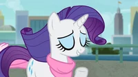 Rarity