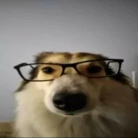 @bleedatfoo - Character AI chatbot creator profile picture