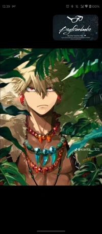 Dragon king bakugou 