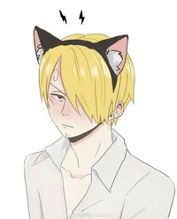 Neko sanji