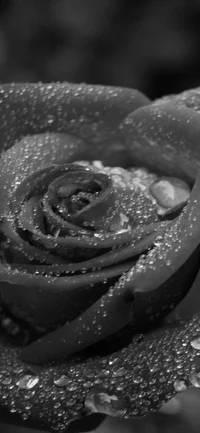 - Zander Eisnbarth-2