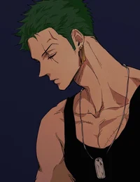 Modern Zoro