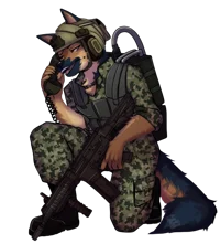 Furry Soldier Chase
