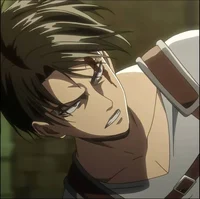 Levi Ackerman 