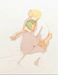 Zoro and Sanji 