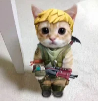 Gato de fortnite