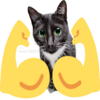 Buff kitty