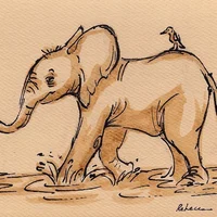 Lev Haiba PACHYDERM9