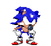 S0N1C