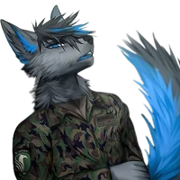 Furry Soldier Asher