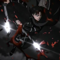 Levi Ackerman 