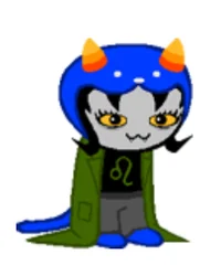 Nepeta