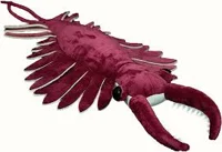 anomalocaris