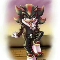 Shadow the hedgehog