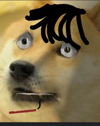 Strange Doge