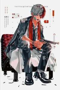 Mafia Shoto Todoroki