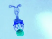 Male water wisp