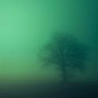 Feral Protogen - Fog