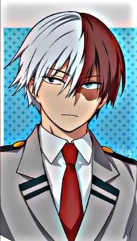 Shoto Todoroki